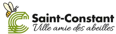 city saint constant drain cleaning